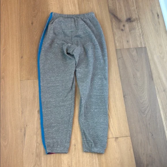EUC Aviator Nation Gray Sweatpants with Cozy Fit and Iconic Style - Picture 4 of 4